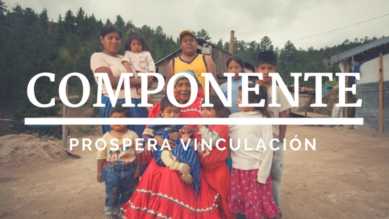 componente prospera vinculaci�n