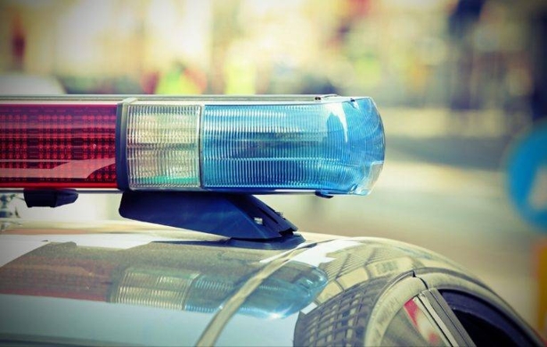 seguridad p�blica
